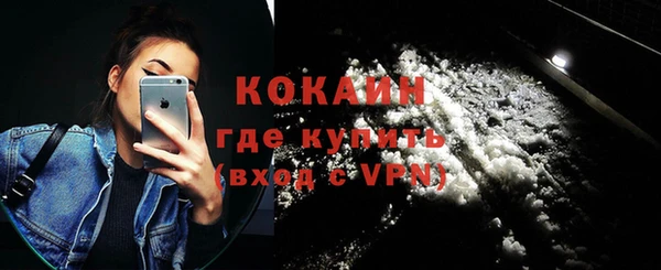 бошки Тайга