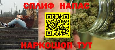 СК Волгодонск