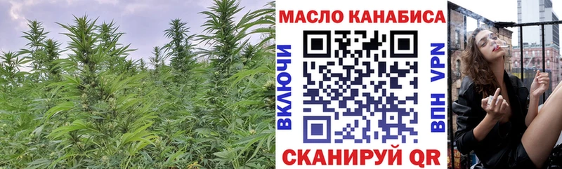купить закладку  Алексеевка  ТГК концентрат 