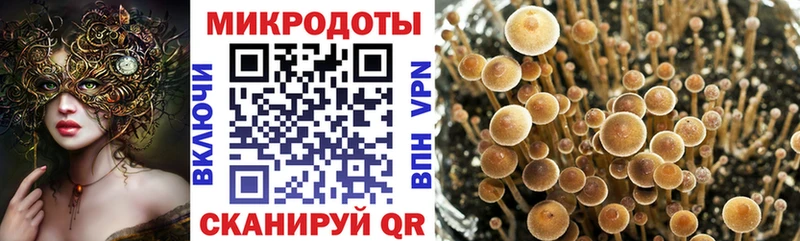 Галлюциногенные грибы ЛСД  kraken маркетплейс  Алексеевка 