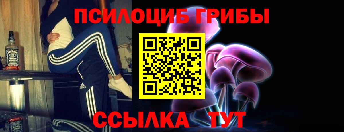 Псилоцибиновые грибы ЛСД Алексеевка