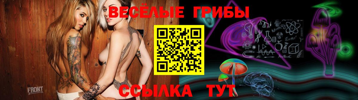 Алексеевка  Псилоцибиновые грибы Psilocybine cubensis  где купить наркоту  Вход с VPN 